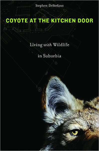 Cover for Stephen DeStefano · Coyote at the Kitchen Door: Living with Wildlife in Suburbia (Paperback Book) (2011)