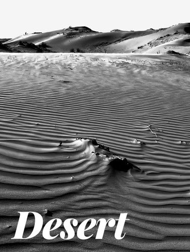 Cover for Anonymous · Desert (Book) (2022)