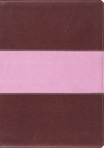 Cover for Crossway Bibles · Esv Study Bible (TruTone  Chocolate (N/A) [Rose/Brown Imitation] (2011)
