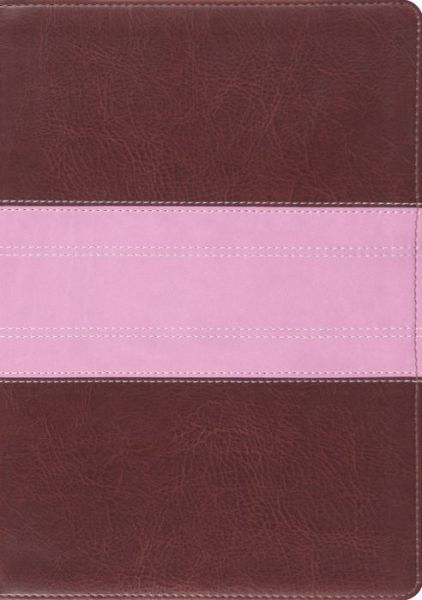 Cover for Crossway Bibles · Esv Study Bible (TruTone  Chocolate (N/A) [Rose/Brown Imitation] (2011)