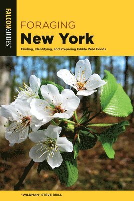 Foraging New York - Foraging Series - "Wildman" Steve Brill - Books - Rowman & Littlefield - 9781493084180 - September 1, 2025