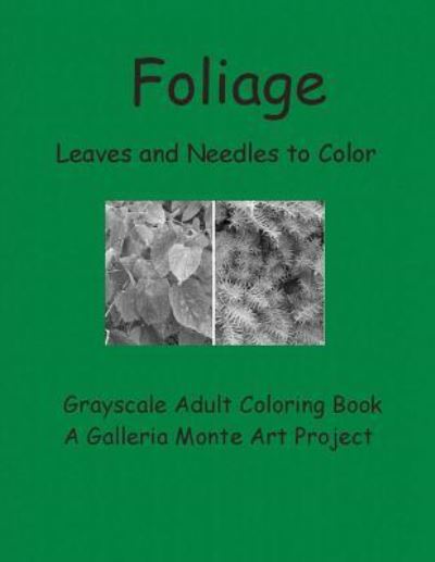 Cover for Galleria Art Projects · Foliage Leaves and Needles to Color (Paperback Book) (2016)