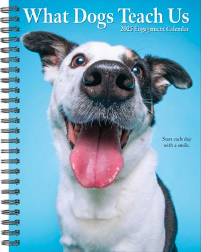 Willow Creek Press · What Dogs Teach Us 2025 6.5 X 8.5 Engagement Calendar (Calendar) (2024)