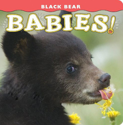 Black Bear Babies! (Babies! (Farcountry Press)) - Photography by Donald M. Jones - Bücher - Farcountry Press - 9781560375180 - 2012