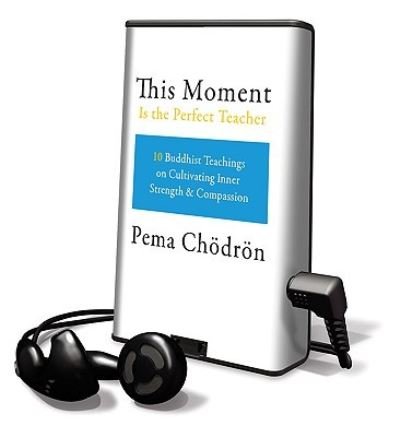 Cover for Pema Chodron · This Moment Is the Perfect Teacher (N/A) (2010)