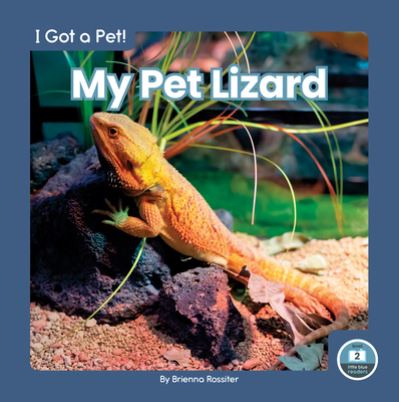 My Pet Lizard - I Got a Pet! - Brienna Rossiter - Książki - North Star Editions - 9781646196180 - 1 sierpnia 2022