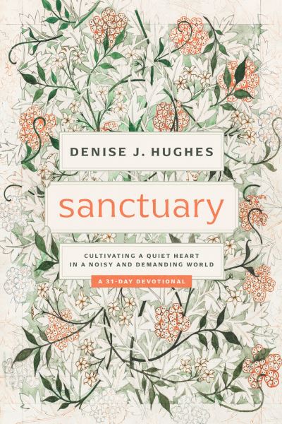 Cover for Denise Hughes · Sanctuary (Buch) (2022)