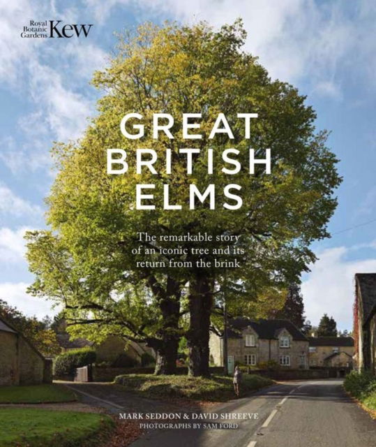 Cover for Mark Seddon · Great British Elms: The remarkable story of an iconic tree and it’s return from the brink (Hardcover Book) (2024)