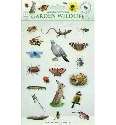 Garden Wildlife - Sticker Play Scenes - Caz Buckingham - Książki - Fine Feather Press Ltd - 9781908489180 - 1 maja 2014