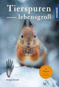 Cover for Hecker · Tierspuren lebensgroß (Buch)