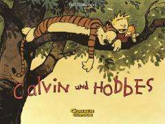Cover for Bill Watterson · Calvin Und Hobbes 8: Ereignisreiche Tage (8) (Book)