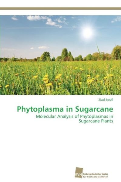 Cover for Ziad Soufi · Phytoplasma in Sugarcane: Molecular Analysis of Phytoplasmas in Sugarcane Plants (Taschenbuch) (2014)