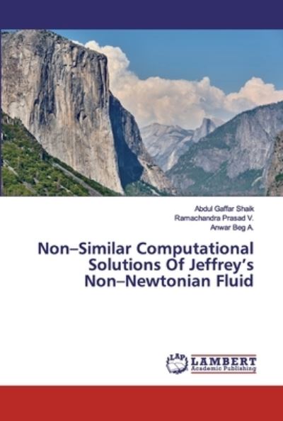 Cover for Shaik · Non-Similar Computational Solutio (Book) (2019)