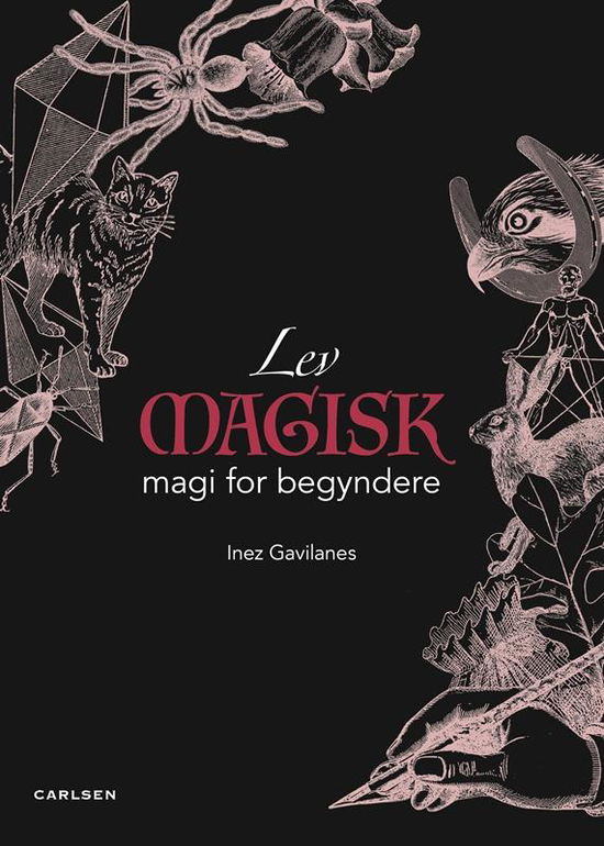 Cover for Inez Gavilanes · Lev magisk - en magibog for begynder (Bound Book) [1. wydanie] (2016)