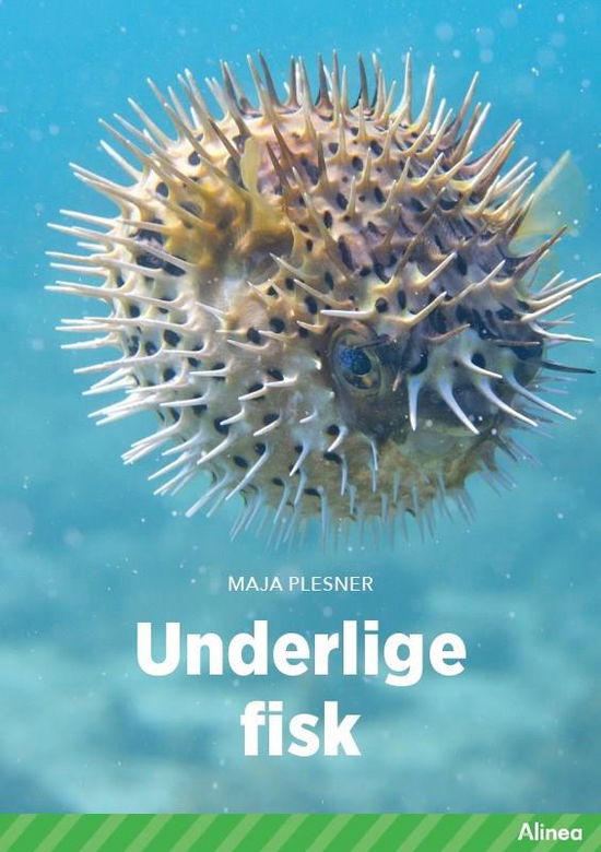 Cover for Maja Plesner · Fagklub: Underlige fisk, Grøn Fagklub (Indbundet Bog) [1. udgave] (2022)