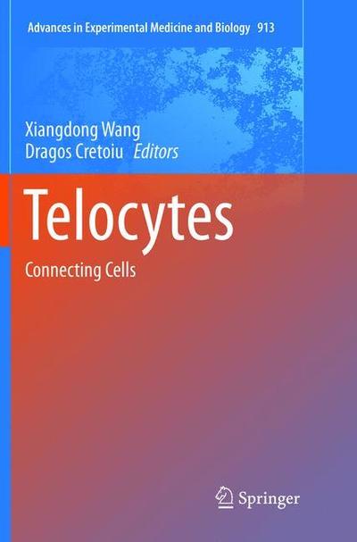 Cover for Telocytes: Connecting Cells - Advances in Experimental Medicine and Biology (Paperback Book) [Softcover reprint of the original 1st ed. 2016 edition] (2018)