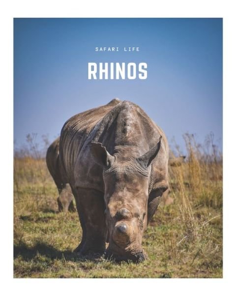 Cover for Decora Book Co · Rhinos (Taschenbuch) (2020)