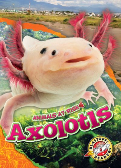 Cover for Rachel Grack · Axolotls (Book) (2023)