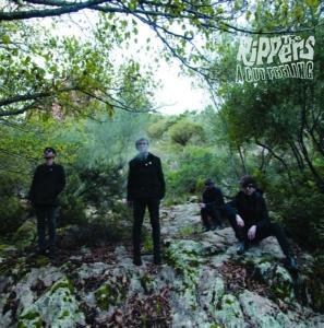 A Gut Feeling - Rippers - Musiikki - SLOVENLY RECORDINGS - 0191061196181 - perjantai 25. elokuuta 2017