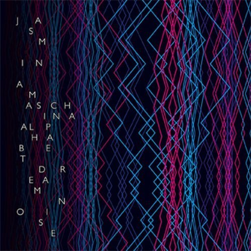 Cover for Jasmina Maschina · Alphabet Dream Noise (LP) (2011)