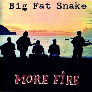 Cover for Big Fat Snake · More Fire (CD) (2004)