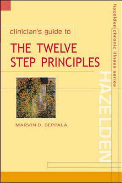 Cover for Marvin D Seppala · Clinician's Guide to the 12 Step Principles (Paperback Book) (2001)