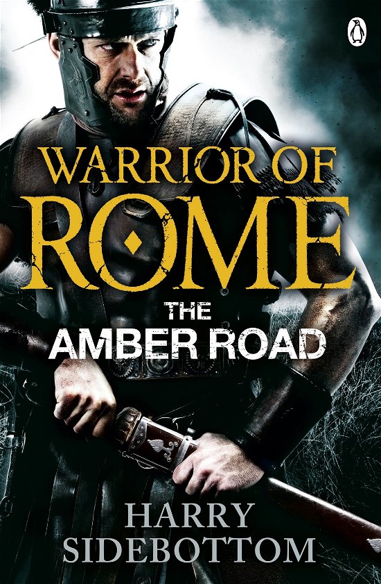 Cover for Harry Sidebottom · Warrior of Rome VI: The Amber Road - Warrior of Rome (Pocketbok) (2014)