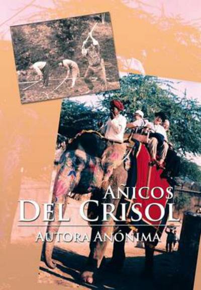 Cover for Autora Anonima · Anicos Del Crisol (Hardcover Book) (2013)