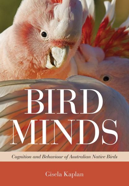 Cover for Gisela Kaplan · Bird Minds: Cognition and Behaviour of Australian Native Birds (Paperback Book) (2015)