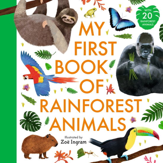 Cover for Zoe Ingram · My First Book of Rainforest Animals - Zoe Ingram's My First Book of... (Hardcover Book) (2025)