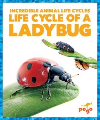 Cover for Karen Latchana Kenney · Life Cycle of a Ladybug - Incredible Animal Life Cycles (Gebundenes Buch) (2018)