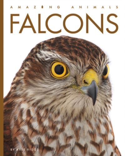 Cover for Kate Riggs · Falcons (Bok) (2023)