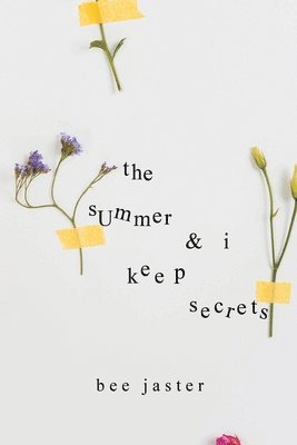 Cover for Bee Jaster · The Summer &amp; I Keep Secrets (Paperback Book) (2025)