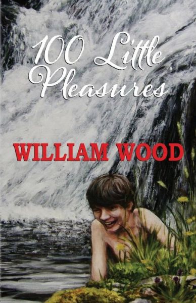 Cover for William Wood · 100 Little Pleasures (Paperback Book) (2017)