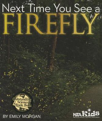 Cover for Emily Morgan · Next Time You See a Firefly - Next Time You See (Paperback Book) (2013)