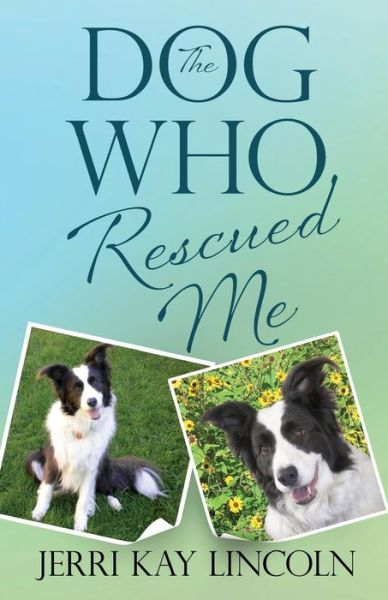 Cover for Jerri Kay Lincoln · The Dog Who Rescued Me (Paperback Book) (2013)