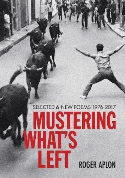 Cover for Roger Aplon · Mustering What's Left (Taschenbuch) (2018)