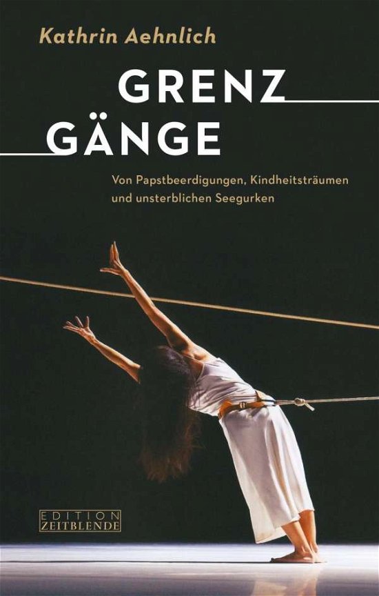 Cover for Aehnlich · Grenzgänge (Bok)