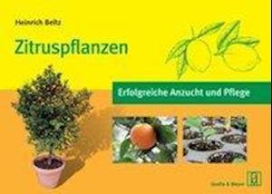 Cover for Beltz · Zitruspflanzen (Bok)