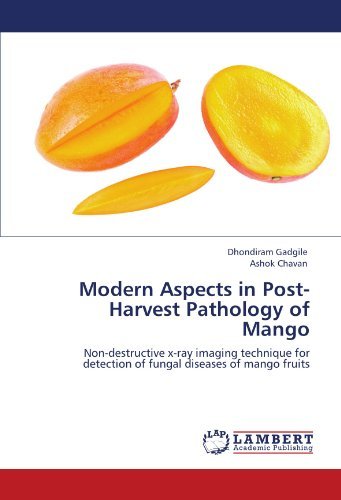 Cover for Ashok Chavan · Modern Aspects in Post-harvest Pathology of Mango: Non-destructive X-ray Imaging Technique for Detection of Fungal Diseases of Mango Fruits (Pocketbok) (2012)