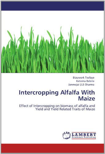 Cover for Janmejai (J.j) Sharma · Intercropping Alfalfa with Maize: Effect of Intercropping on Biomass of Alfalfa and Yield and Yield Related Traits of Maize (Paperback Book) (2012)