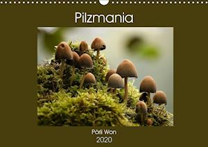 Cover for Won · Pilzmania (Wandkalender 2020 DIN A3 (Book)