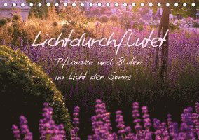 Cover for Kunz · Lichtdurchflutet (Tischkalender 20 (Book)