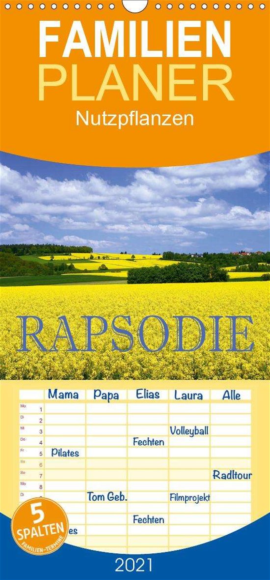 Cover for Pfleger · Rapsodie - Familienplaner hoch (Book)