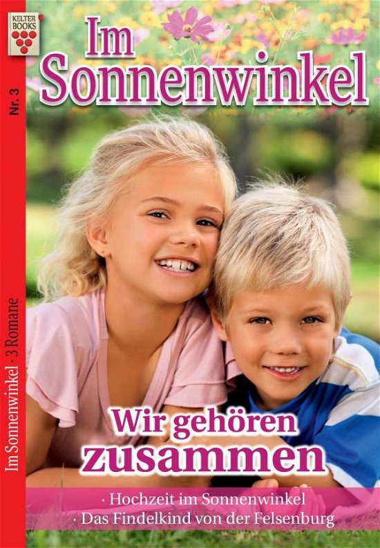 Cover for Vandenberg · Im Sonnenwinkel Nr. 3: Wir g (Buch)