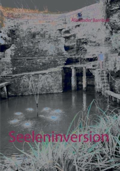 Cover for Alexander Barriball · Seeleninversion (Paperback Book) (2020)