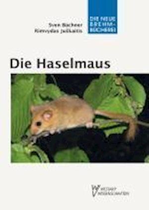 Cover for Büchner · Haselmaus (Bog)