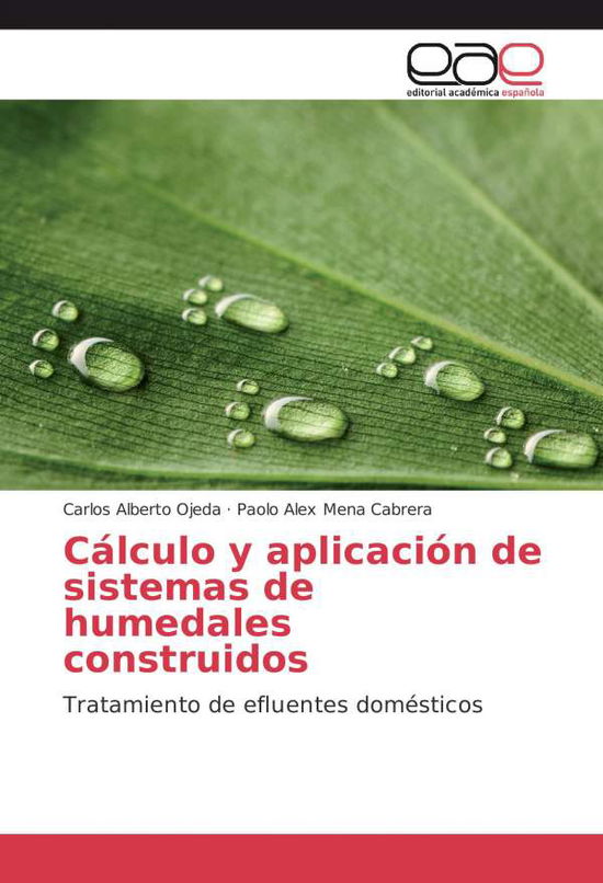 Cover for Ojeda · Cálculo y aplicación de sistemas (Book)