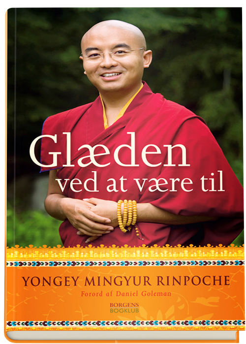 Cover for Yongey Mingyur Rinpoche · Glæden ved at være til  (Innbunden bok) [2. utgave] (2008)