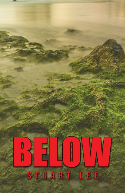 Cover for Stuart Lee · Below (Hardcover Book) (2024)